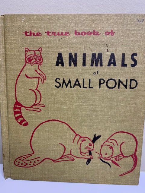 The True Book of Animals of Small Pond, written and illustrated by Phoebe Erickson