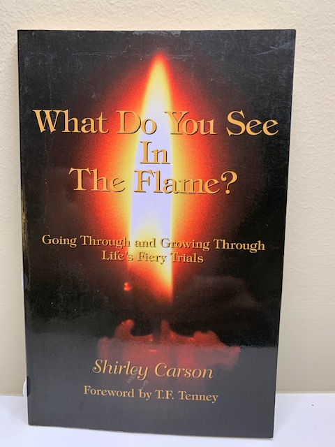 What do You See in the Flame? by Shirley Carson