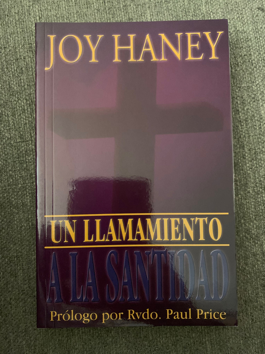 Un Llamamiento a La Santidad by Joy Haney