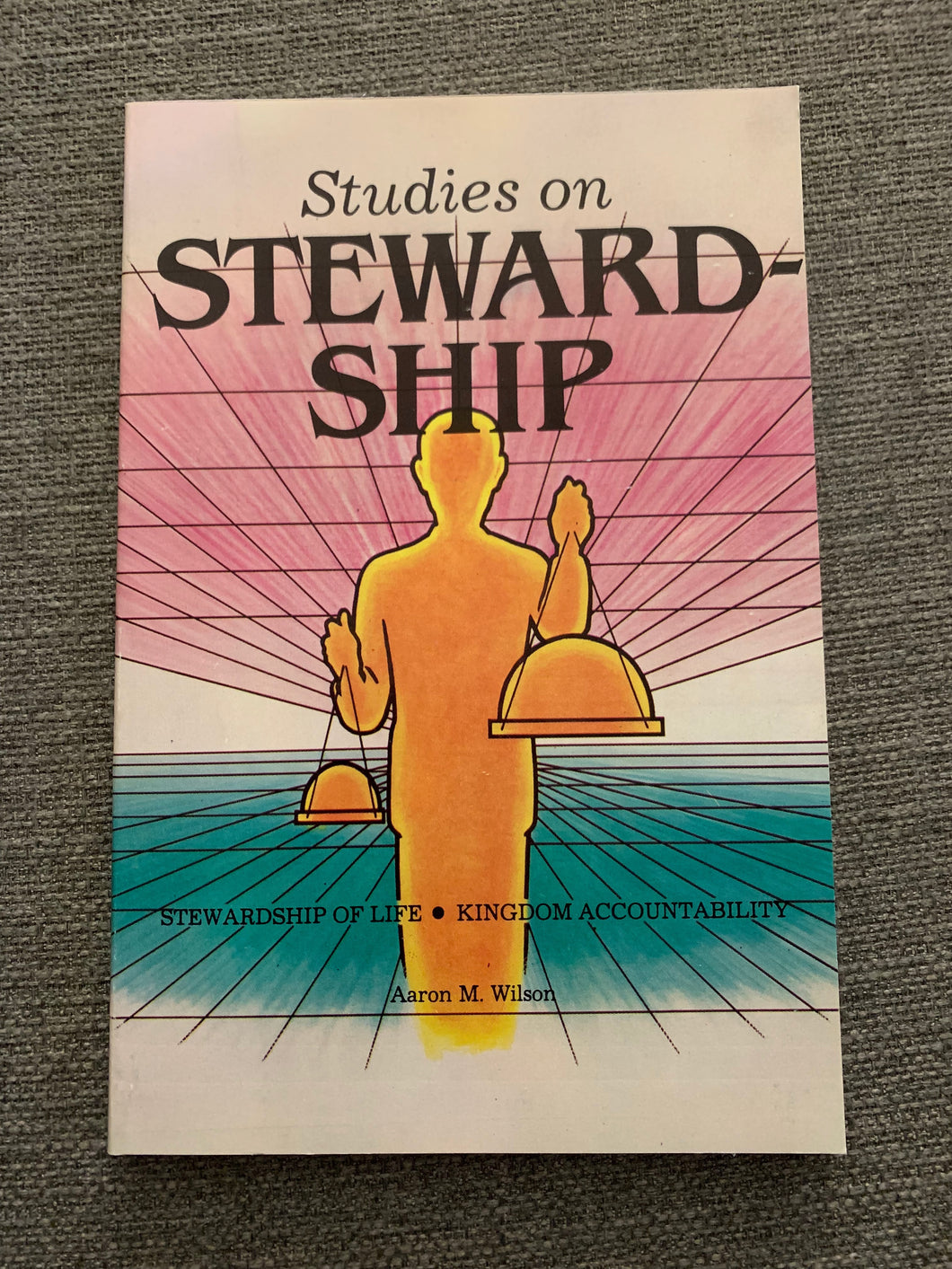 Studies on Stewardship by Aaron M. Wilson