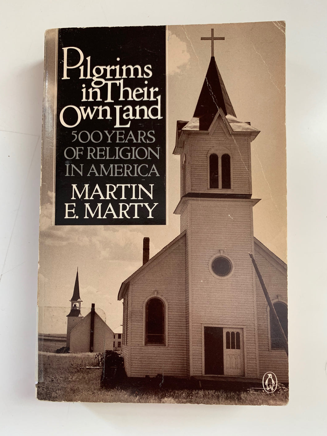 Pilgrims in Their Own Land by Martin E. Marty