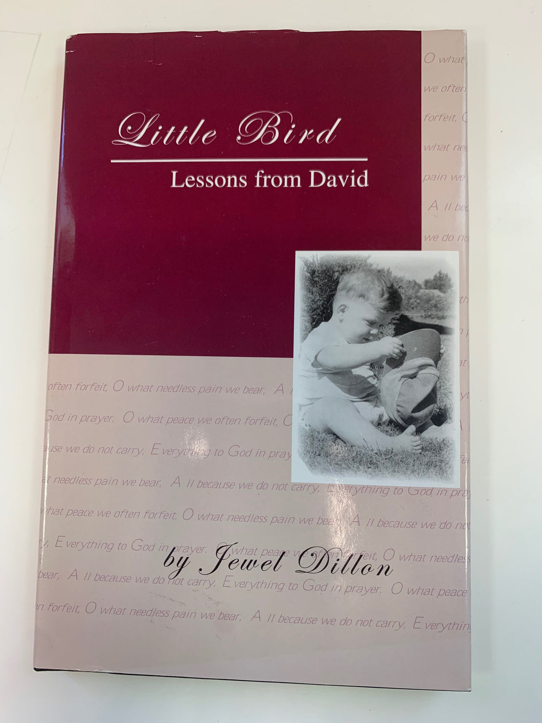 Little Bird: Lessons from David by Jewel Dillon