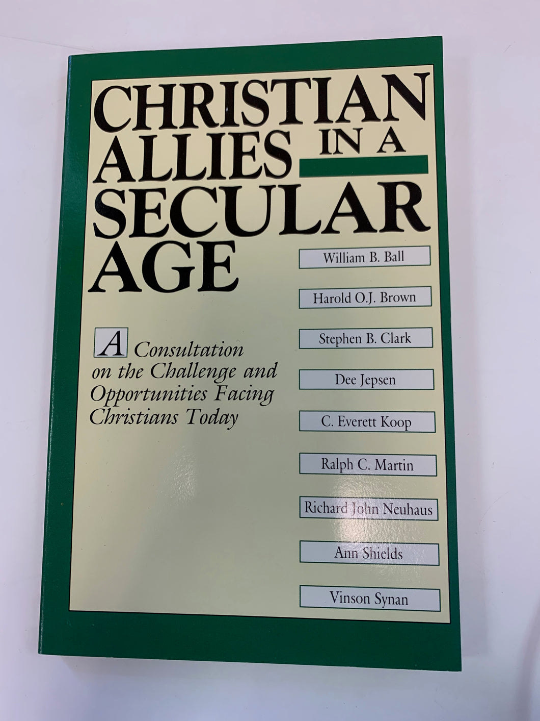 Christian Allies In A Secular Age by Kevin Perrotta and John C. Blattner