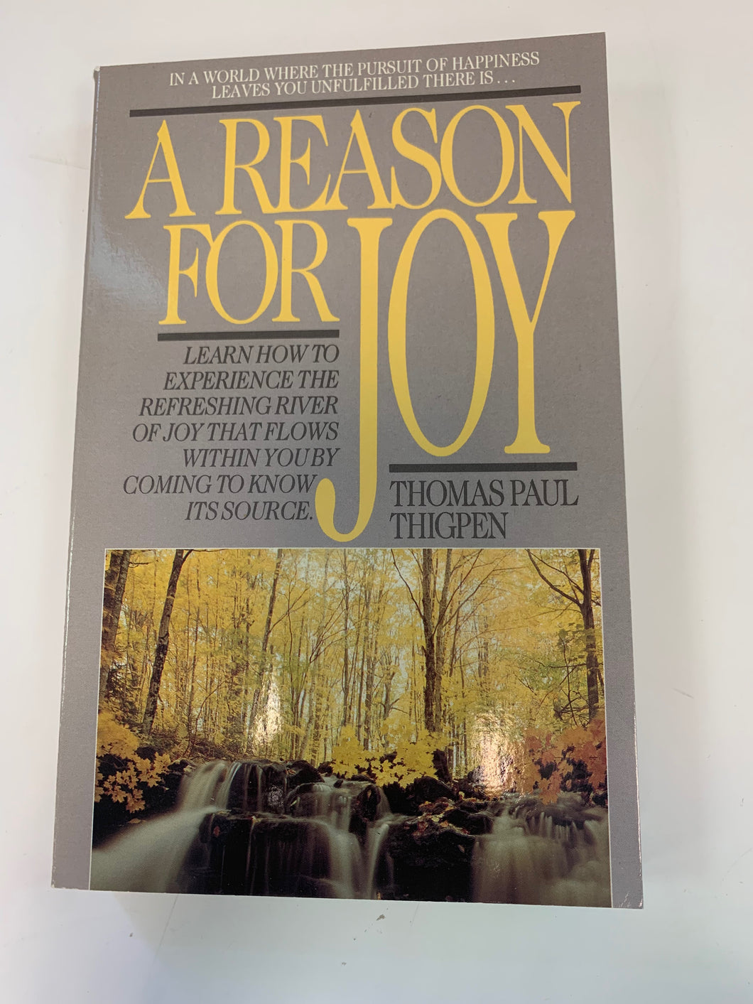 A Reason for Joy by Thomas Paul Thigpen