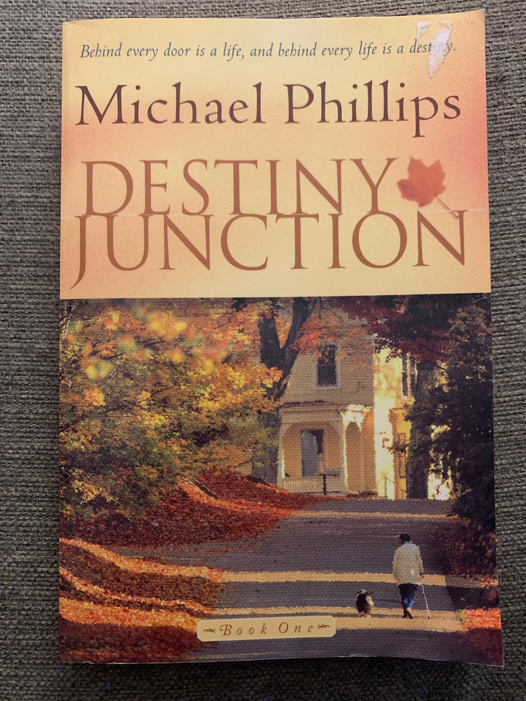 Destiny Junction by Michael Phillips